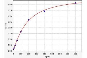 Typical standard curve (C5b-9 ELISA Kit)