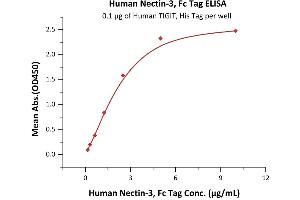 Nectin cell adhesion molecule 3 (NECTIN3) (AA 58-400) (Active) protein (Fc Tag)