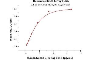 Immobilized Human TIGIT, His Tag (ABIN2870700,ABIN6951023) at 1 μg/mL (100 μL/well) can bind Human Nectin-3, Fc Tag (ABIN4949138,ABIN4949139) with a linear range of 0. (nectin-3 Protein (AA 58-400) (Fc Tag))