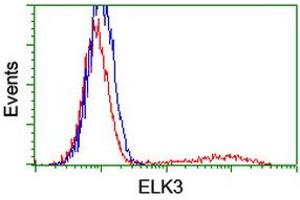 Flow Cytometry (FACS) image for anti-ELK3, ETS-Domain Protein (SRF Accessory Protein 2) (ELK3) antibody (ABIN1498007) (ELK3 antibody)