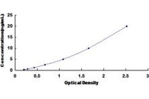 LCT ELISA Kit