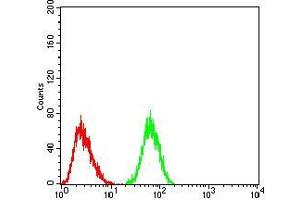 Flow cytometric analysis of HeLa cells using CK5 mouse mAb (green) and negative control (red). (Cytokeratin 5 antibody  (AA 258-357))