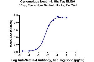Immobilized Cynomolgus Nectin-4, His Tag at 0. (PVRL4 Protein (AA 32-351) (His tag))