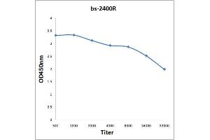 Antigen: 0. (MDC1 antibody  (AA 31-130))