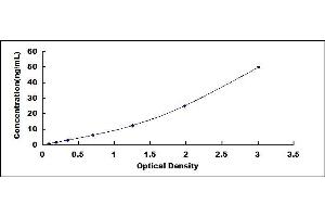 Typical standard curve (GPC1 ELISA Kit)