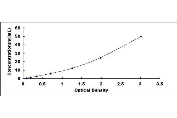 GPC1 ELISA Kit