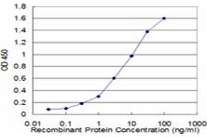 Detection limit for recombinant GST tagged ENO3 is approximately 0. (ENO3 antibody  (AA 1-434))