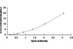 Typical standard curve