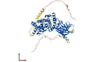 Protein Structure (PS) image for MutY Homolog (E. Coli) (MUTYH) (AA 1-515) protein (His tag) (ABIN7560447)