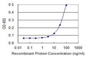 Detection limit for recombinant GST tagged MYL9 is 3 ng/ml as a capture antibody. (MYL9 antibody  (AA 1-118))