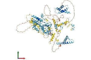 AlphaFold protein structure predicition of Mouse Recombinant Mtbp Protein, UniprotID Q8BJS8 (MTBP Protein (AA 1-894) (His tag))