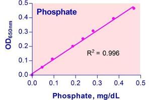 Biochemical Assay (BCA) image for Phosphate Assay Kit (ABIN1000269) (Phosphate Assay Kit)