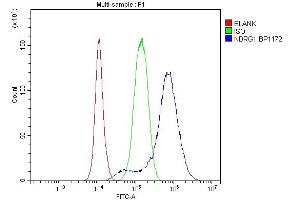 Flow Cytometry analysis of PC-3 cells using anti-NDRG1 antibody (ABIN7600474).