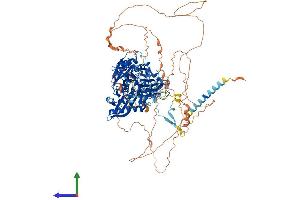 AlphaFold protein structure predicition of Human Recombinant B4GALNT4 Protein, UniprotID Q76KP1