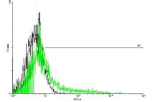 FACS analysis of negative control 293 cells (Black) and IL2RB expressing 293 cells (Green) using IL2RB purified MaxPab mouse polyclonal antibody. (IL2 Receptor beta antibody  (AA 1-551))