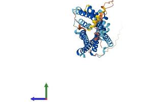 AlphaFold protein structure predicition of Human Recombinant PROKR2 Protein, UniprotID Q8NFJ6