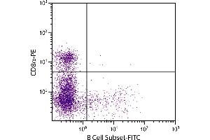 Porcine peripheral blood lymphocytes were stained with Mouse Anti-Porcine B Cell Subset-FITC. (B-Cells (Subset) antibody (FITC))