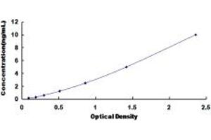 Typical standard curve (SLC25A37 ELISA Kit)