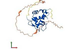 Protein Structure (PS) image for Ubiquitin Specific Peptidase 17-Like Family Member 23 (USP17L23) (AA 1-183) protein (His tag) (ABIN7544915)