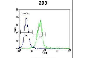 Flow cytometric analysis of 293 cells (right histogram) compared to a negative control cell (left histogram). (CLEC11A antibody  (AA 145-174))