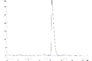 The purity of Mouse CADM3 is greater than 95 % as determined by SEC-HPLC. (CADM3 Protein (AA 23-328) (His tag))