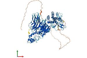 AlphaFold protein structure predicition of Human Recombinant GTF3C4 Protein, UniprotID Q9UKN8 (GTF3C4 Protein (AA 1-822) (His tag))