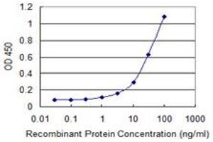 Detection limit for recombinant GST tagged TK1 is 0. (TK1 antibody  (AA 1-234))