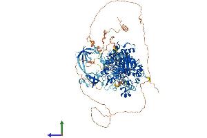 AlphaFold protein structure predicition of Human Recombinant KDM4C Protein, UniprotID Q9H3R0 (KDM4C Protein (AA 1-1056) (His tag))