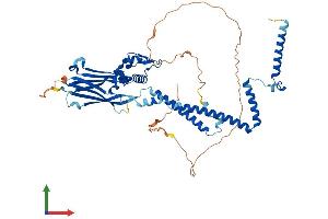 AlphaFold protein structure predicition of Mouse Recombinant Smarcd2 Protein, UniprotID Q99JR8