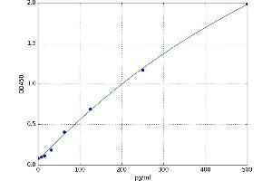 Chemokine-Like Factor (CKLF) ELISA Kit