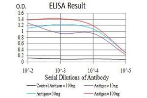 Black line: Control Antigen (100 ng),Purple line: Antigen (10 ng), Blue line: Antigen (50 ng), Red line:Antigen (100 ng) (ARFGAP1 antibody  (AA 270-414))