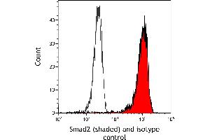 Flow Cytometry (FACS) image for anti-SMAD, Mothers Against DPP Homolog 2 (SMAD2) (AA 225-275) antibody (ABIN7454016) (Recombinant SMAD2 antibody  (AA 225-275))