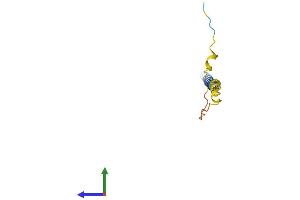 Protein Structure (PS) image for Leukocyte Specific Transcript 1 (LST1) (AA 1-97) protein (His tag) (ABIN7549242)