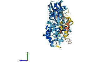 Protein Structure (PS) image for Gasdermin D (GSDMD) (AA 1-487) protein (His tag) (ABIN7561134)