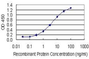 Detection limit for recombinant GST tagged AKR1C1 is 0. (AKR1C1 antibody  (AA 1-110))