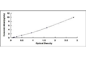 Typical standard curve (OAT ELISA Kit)