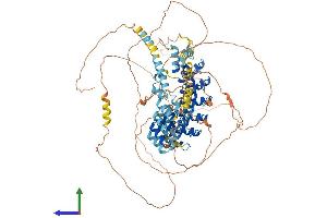 AlphaFold protein structure predicition of Mouse Recombinant Anks6 Protein, UniprotID Q6GQX6 (ANKS6 Protein (AA 1-883) (His tag))