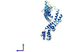 Protein Structure (PS) image for Required For Meiotic Nuclear Division 5 Homolog A (RMND5A) (AA 1-391) protein (His tag) (ABIN7558439)