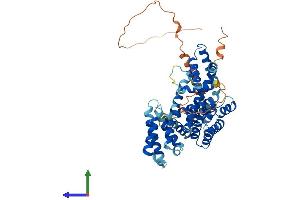 AlphaFold protein structure predicition of Human Recombinant TCP11 Protein, UniprotID Q8WWU5 (TCP11 Protein (AA 1-503) (His tag))