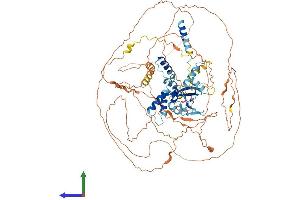 AlphaFold protein structure predicition of Human Recombinant SUPT20HL1 Protein, UniprotID Q3ZLR7 (SUPT20HL1 Protein (AA 1-823) (His tag))