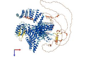 NFKBIL2 Protein (AA 1-1378) (His tag)