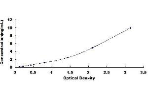 Typical standard curve (PRNP ELISA Kit)