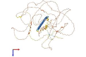 AlphaFold protein structure predicition of Human Recombinant TSC22D2 Protein, UniprotID O75157