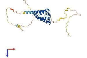 BCL10 Protein (AA 1-233) (His tag)