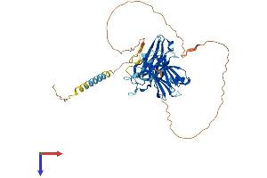 SYT4 Protein (AA 1-425) (His tag)