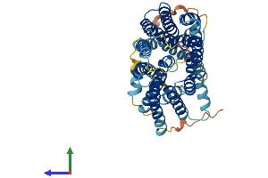 AlphaFold protein structure predicition of Human Recombinant SLC46A1 Protein, UniprotID Q96NT5