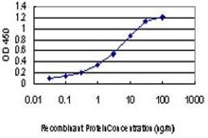 Detection limit for recombinant GST tagged BUB1 is approximately 0. (BUB1 antibody  (AA 1-130))