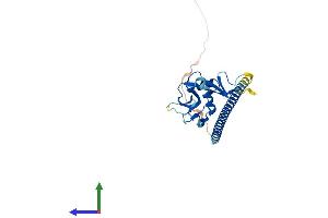 AlphaFold protein structure predicition of Human Recombinant CLEC9A Protein, UniprotID Q6UXN8
