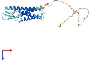 AlphaFold protein structure predicition of Mouse Recombinant Tmem225 Protein, UniprotID Q9D9S2 (TMEM225 Protein (AA 1-230) (His tag))