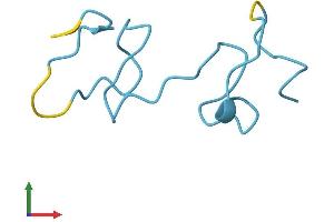 Protein Structure (PS) image for Metallothionein 1M (MT1M) (AA 1-61) protein (Fc Tag) (ABIN7549563)